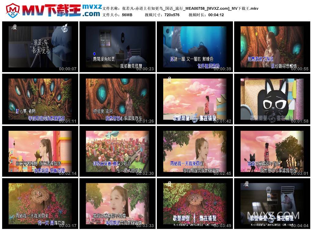 张若凡-赤道上有知更鸟_国语_流行_MEA00758